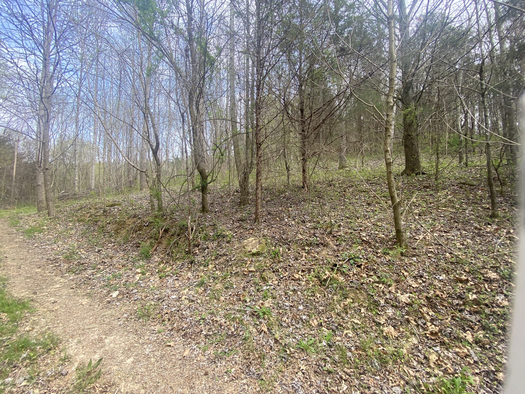 0 Globe Road Lewisburg, TN 37091 - Photo 2 of 12