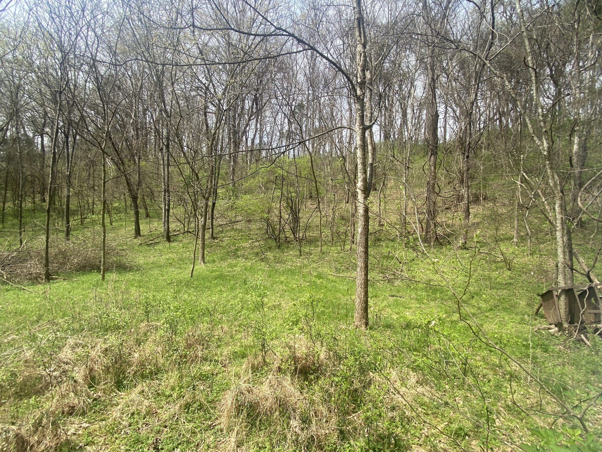 0 Globe Road Lewisburg, TN 37091 - Photo 4 of 12