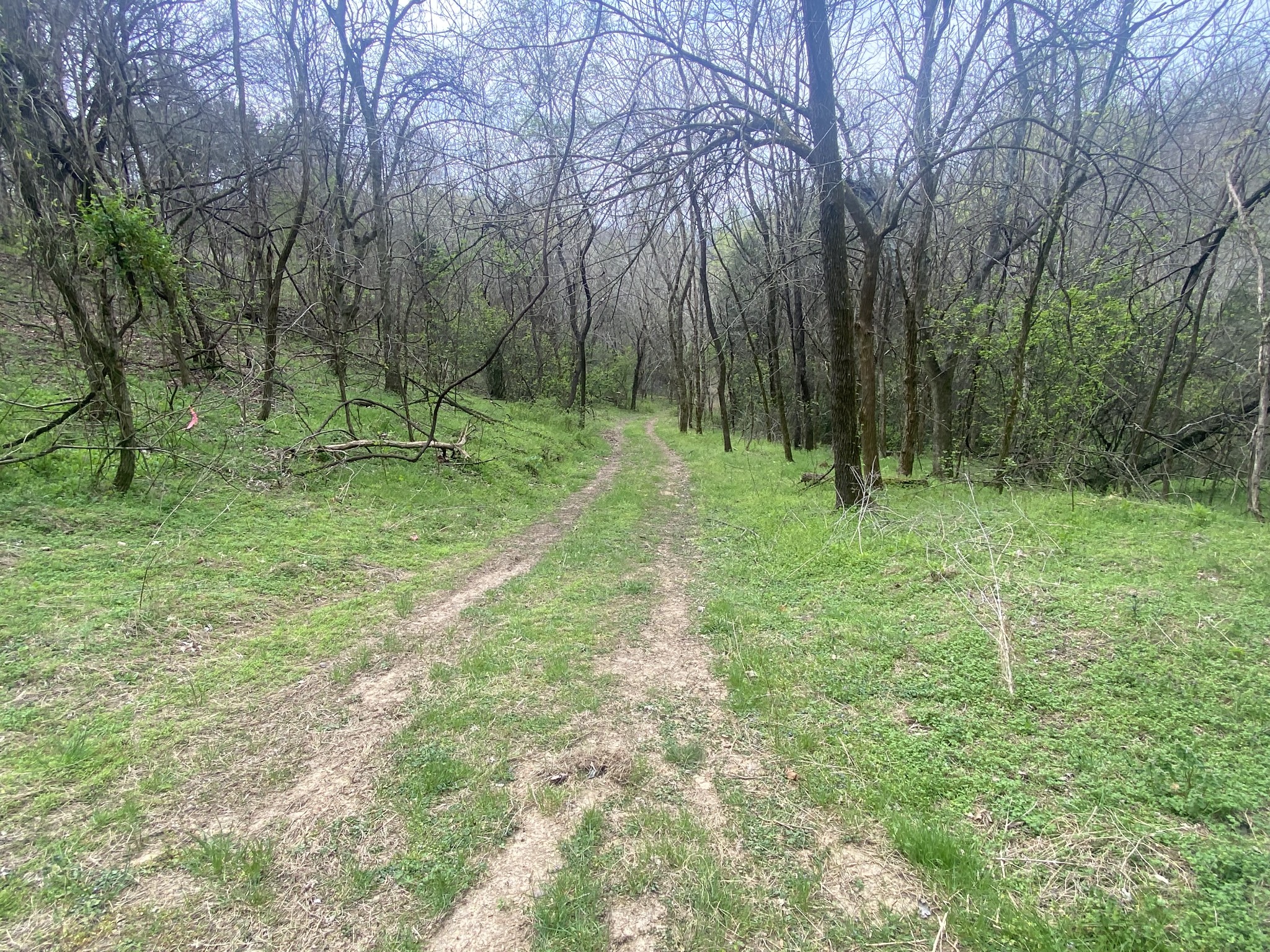 0 Globe Road Lewisburg, TN 37091 - Photo 7 of 12