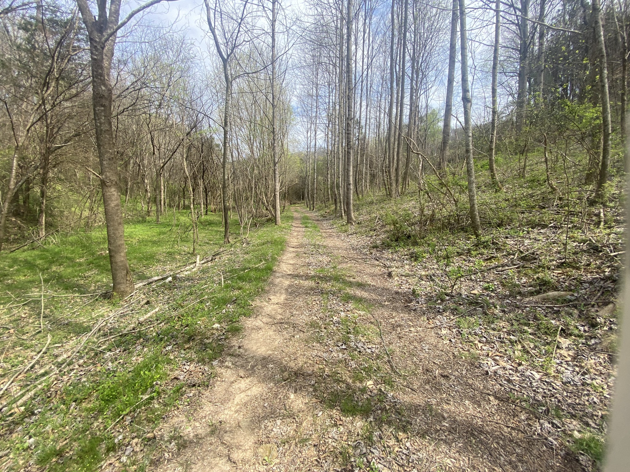 0 Globe Road Lewisburg, TN 37091 - Photo 8 of 12