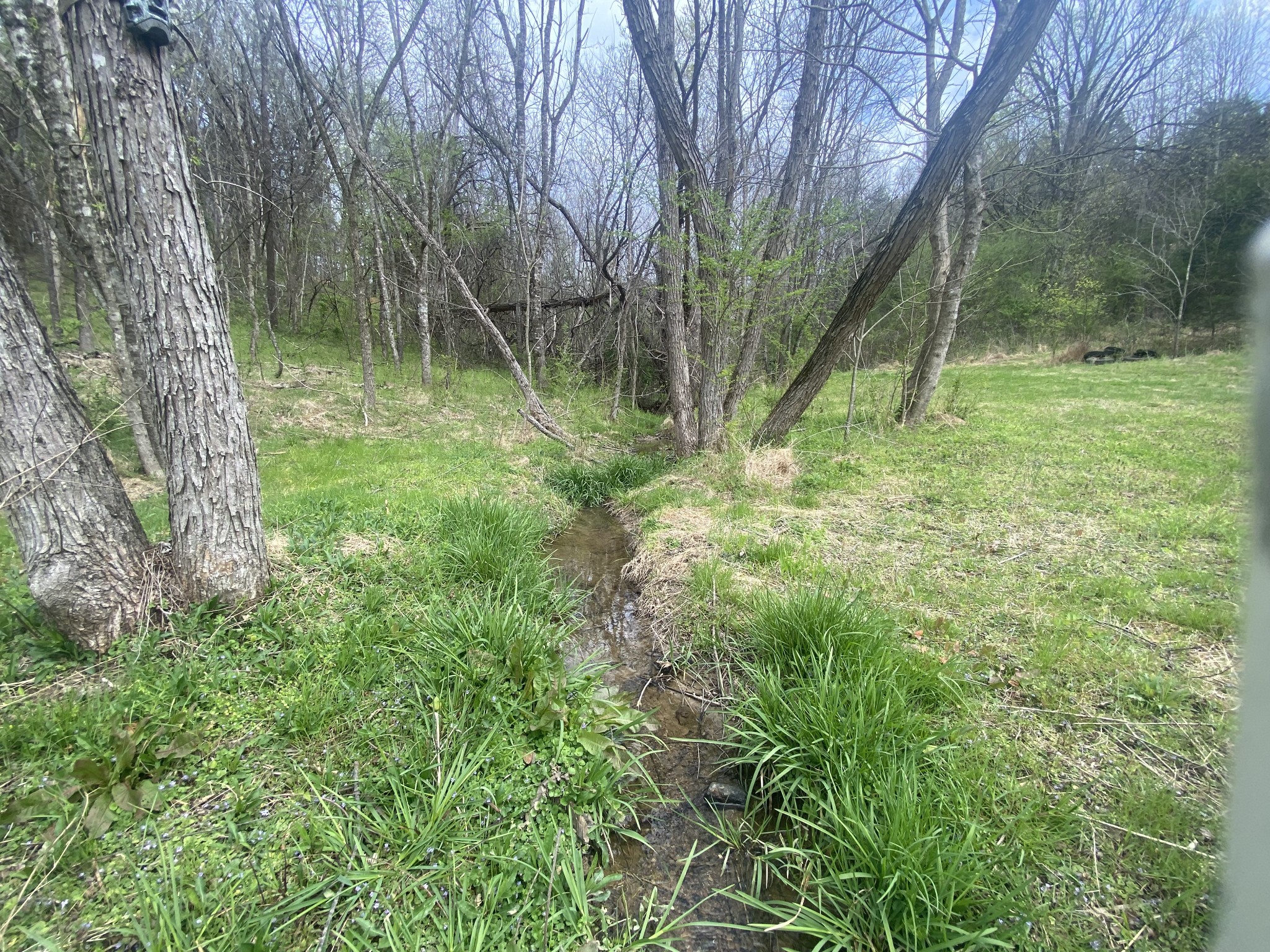 0 Globe Road Lewisburg, TN 37091 - Photo 9 of 12