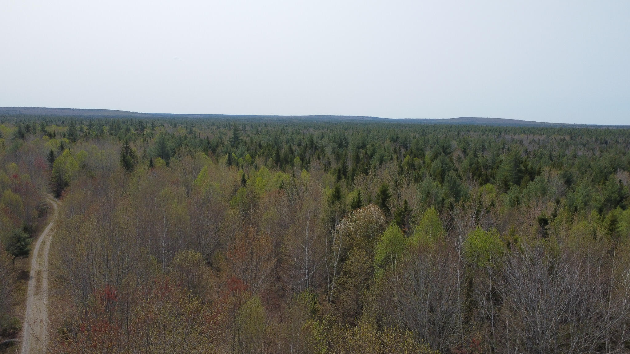 Lot 5 Trickle Brook Road Cherryfield, ME 04622 - Photo 2 of 12 DJI_0053