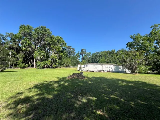 a view of a grassy field with trees in the background