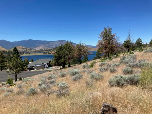 a view of a dry yard with mountains in the background