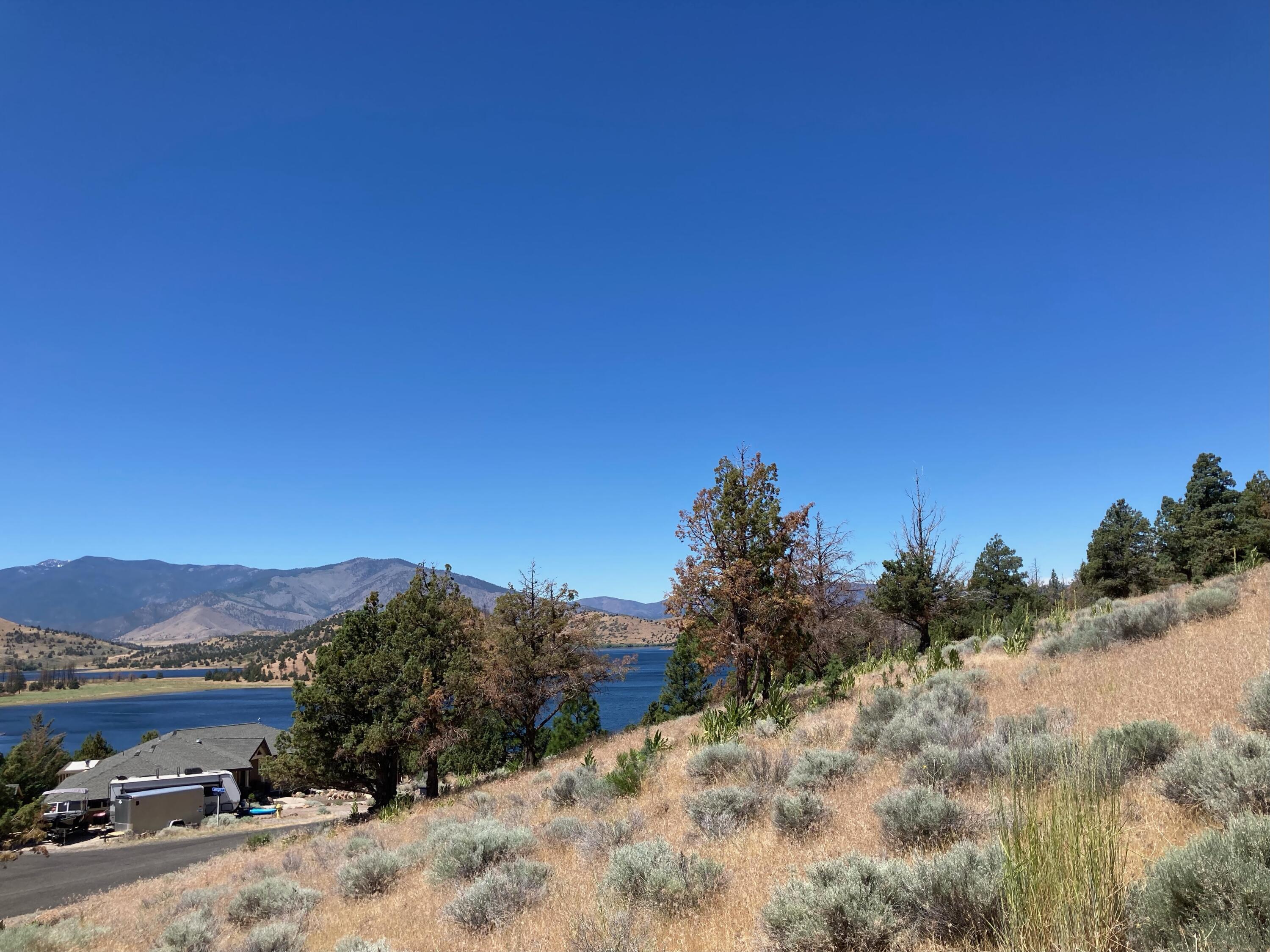 0 Saddle Ridge Road Weed, CA 96094 - Photo 5 of 9 a view of a dry yard with a tree