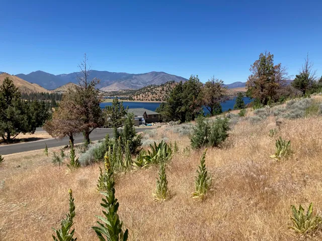 $39,500 | 0 Saddle Ridge Road, Weed, CA 96094