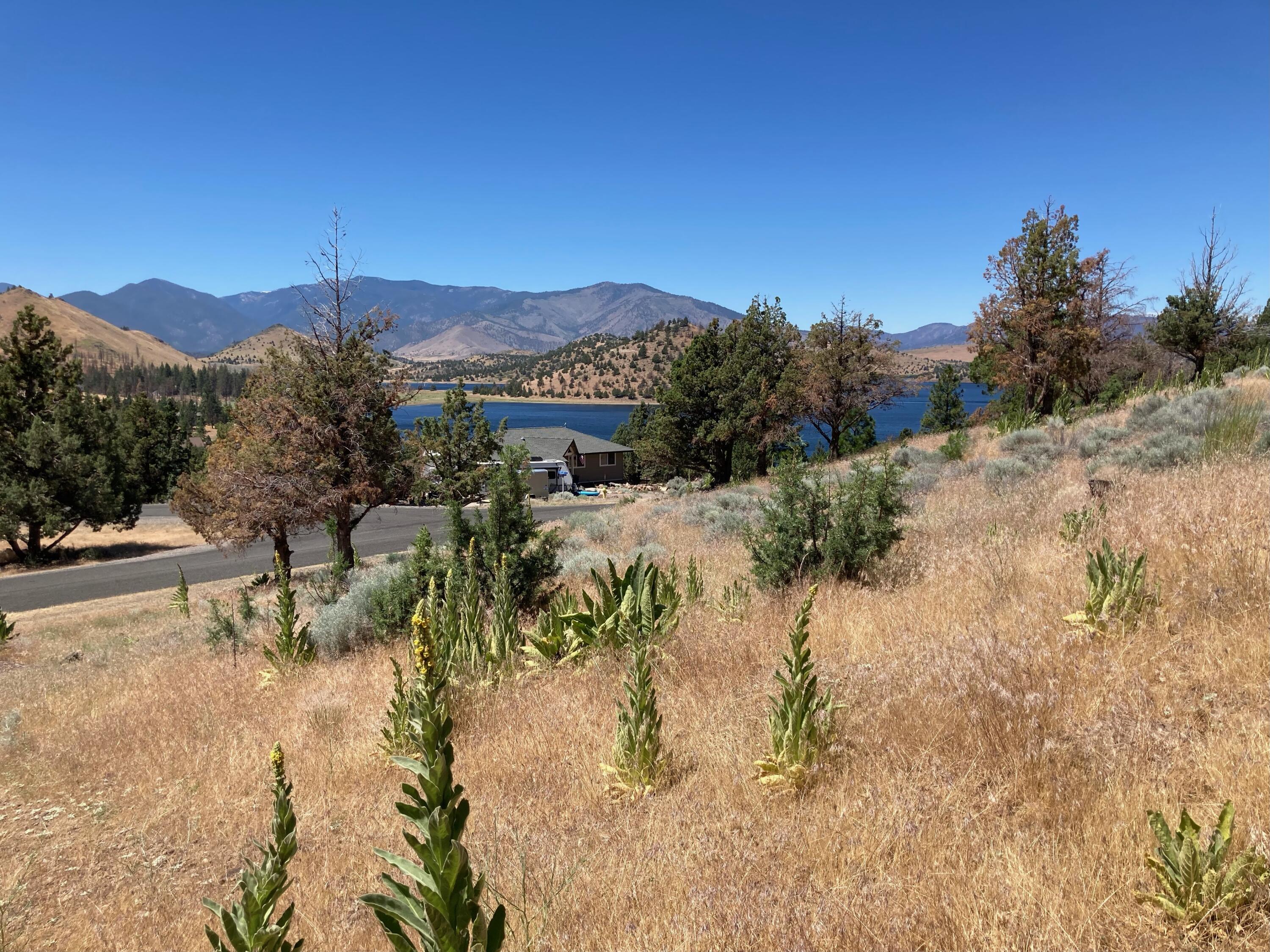 0 Saddle Ridge Road Weed, CA 96094 - Photo 7 of 9 a view of a house with a yard