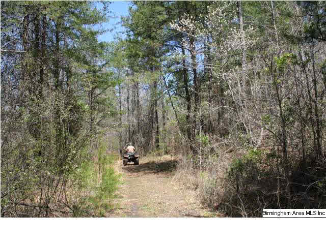 Narrows Road, Unit 168 Remlap, AL 35133 - Photo 15 of 21