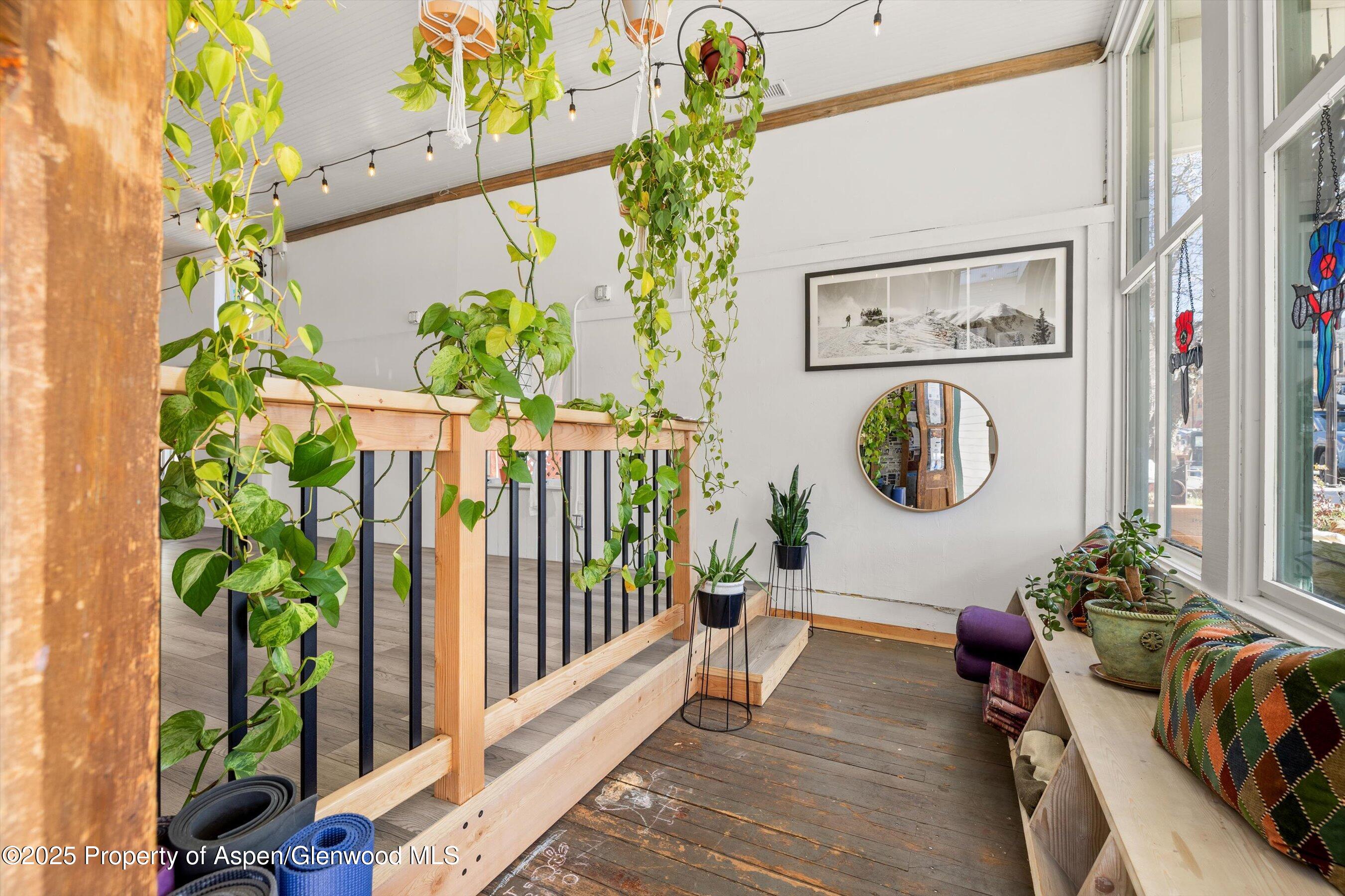 160 Midland Avenue Basalt, CO 81621 - Photo 11 of 13 a living room filled with furniture and a potted plant