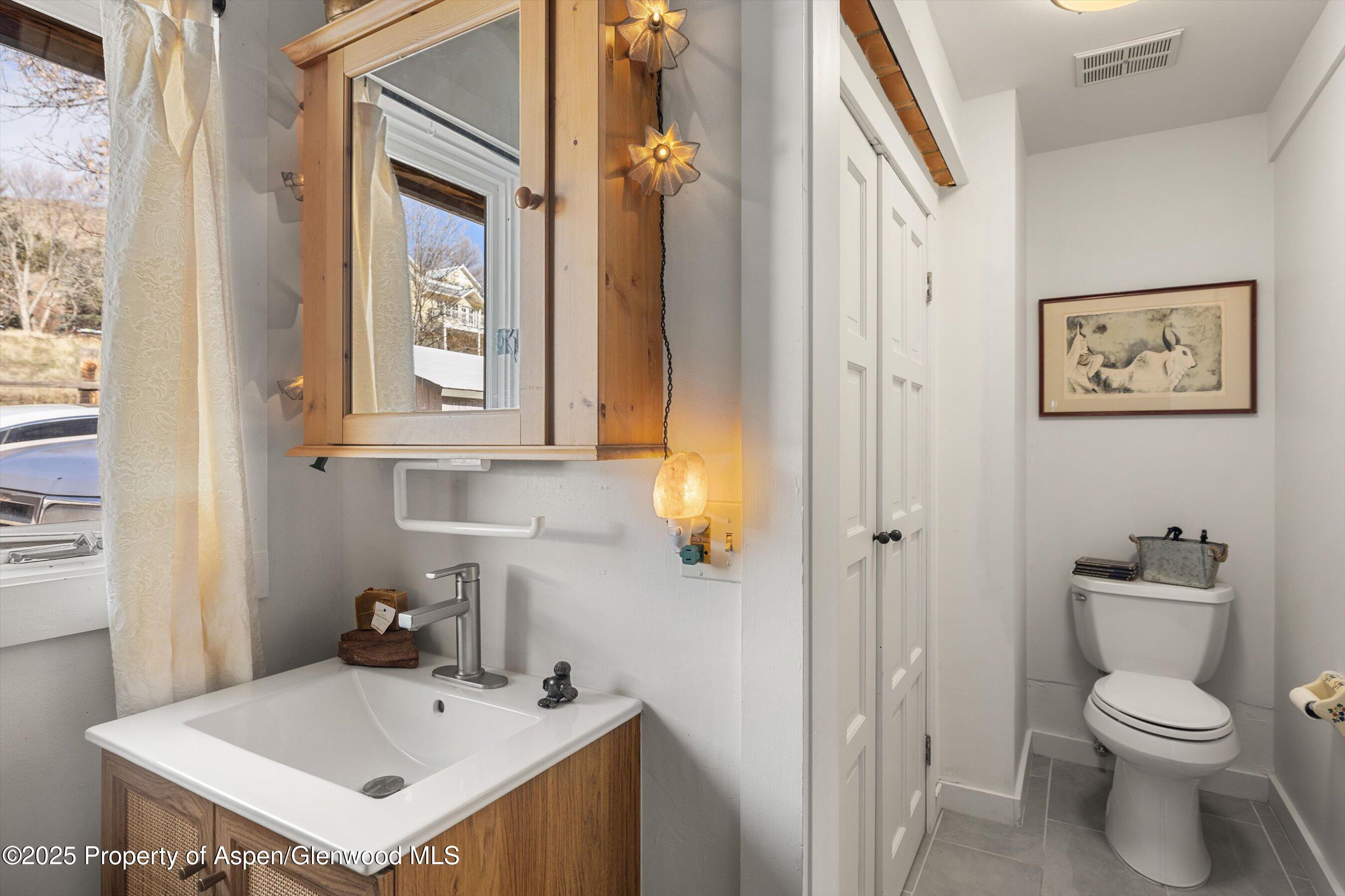 160 Midland Avenue Basalt, CO 81621 - Photo 13 of 13 a bathroom with a sink a toilet and a mirror