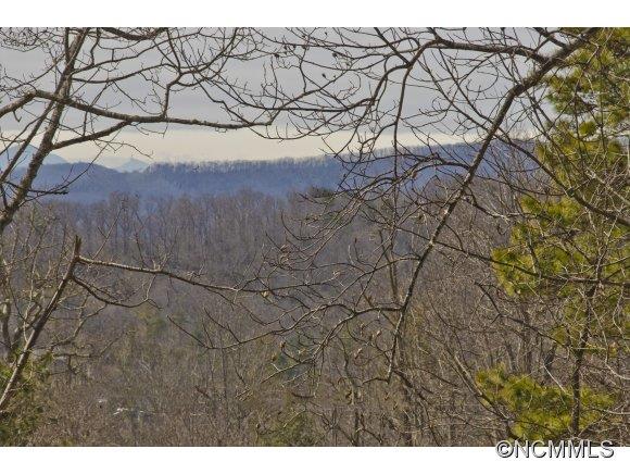 41 Vehorn Road Fairview, NC 28730 - Photo 3 of 19 Gallery Image 3