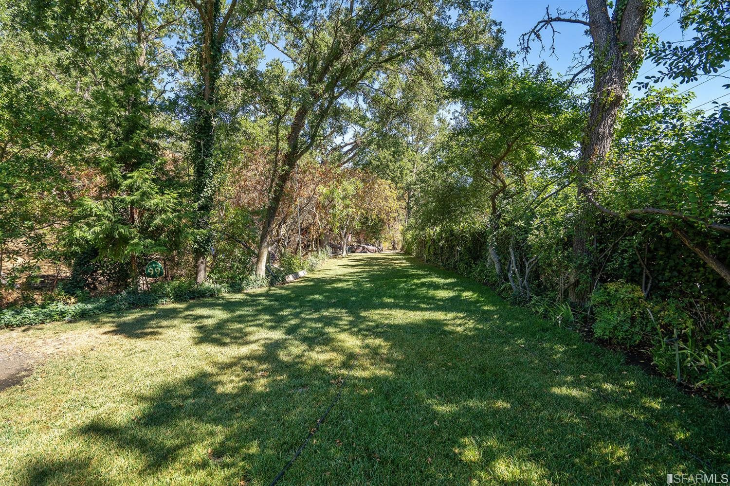 201 Castle Hill Ranch Road Walnut Creek, CA 94595 - Photo 29 of 44 a big yard with lots of green space and deers
