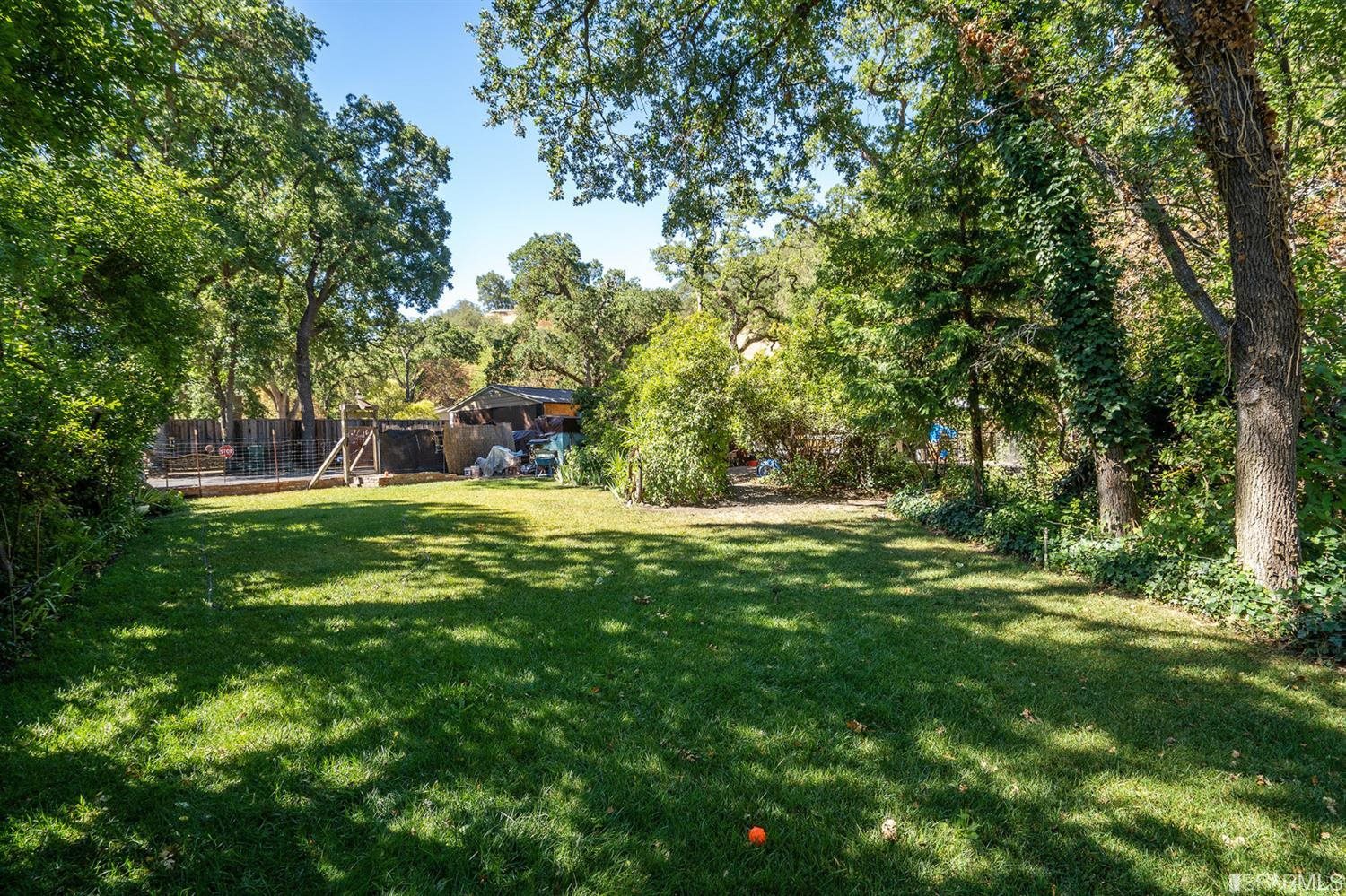 201 Castle Hill Ranch Road Walnut Creek, CA 94595 - Photo 30 of 44 a view of garden with trees