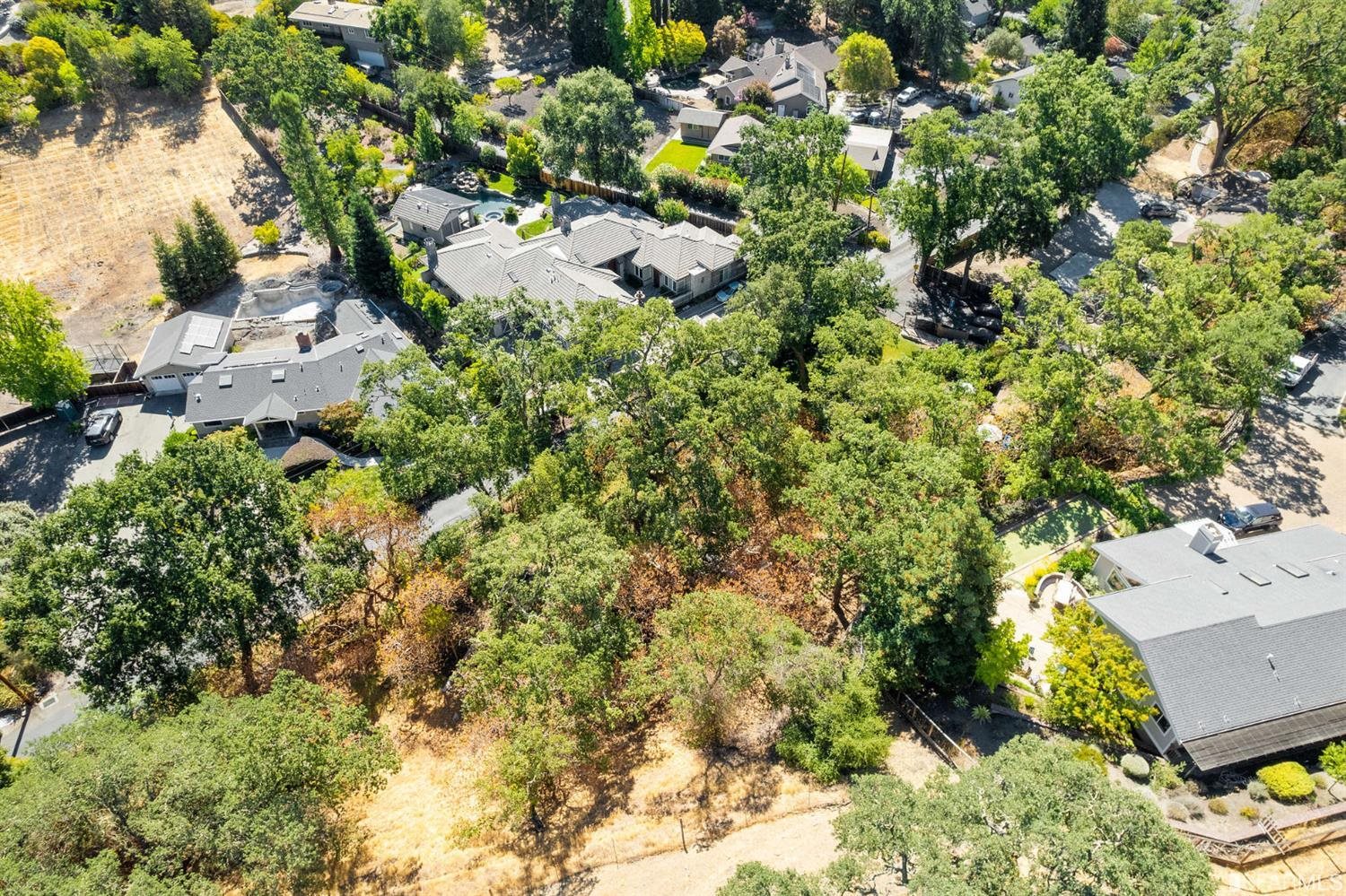 201 Castle Hill Ranch Road Walnut Creek, CA 94595 - Photo 42 of 44 a view of a garden with plants