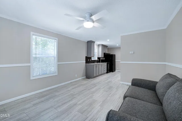 a view of a backyard with plants and a large tree