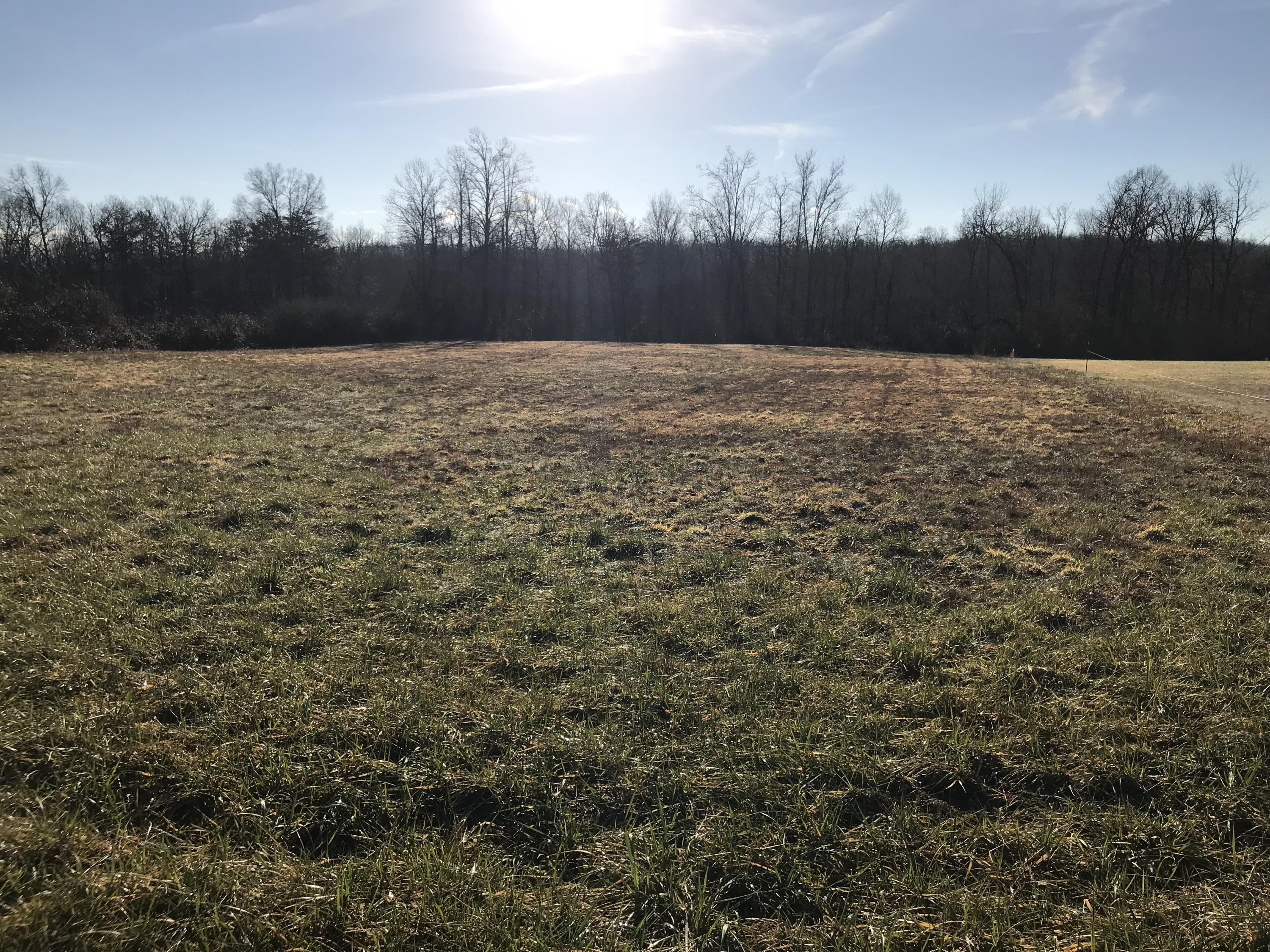 Bicknell Rd Road Clarkrange, TN 38553 - Photo 1 of 5 eg9cm4B5SvKjsNlijhrDwg