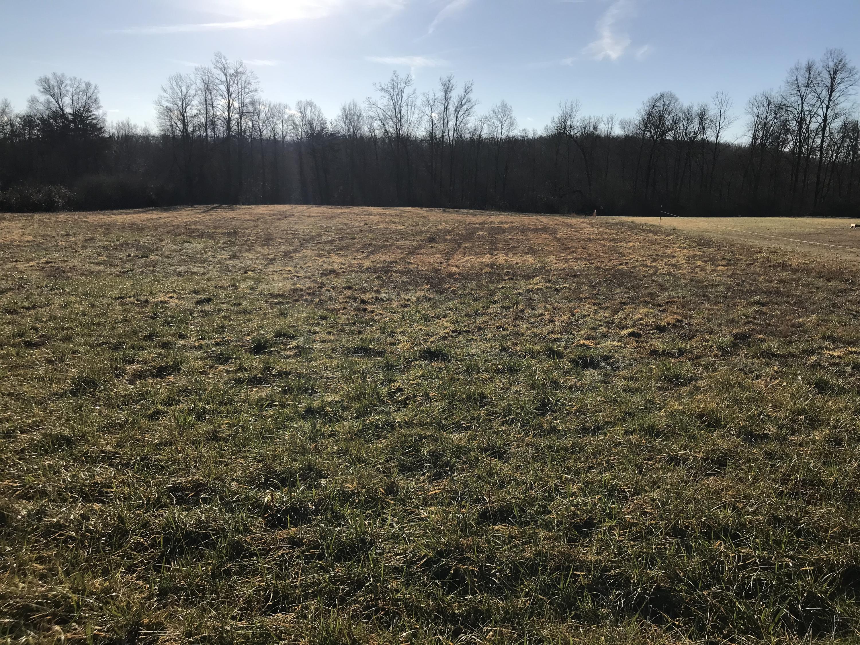 Bicknell Rd Road Clarkrange, TN 38553 - Photo 2 of 5 xEE%lMOPSYuaZaLcVfpqZQ