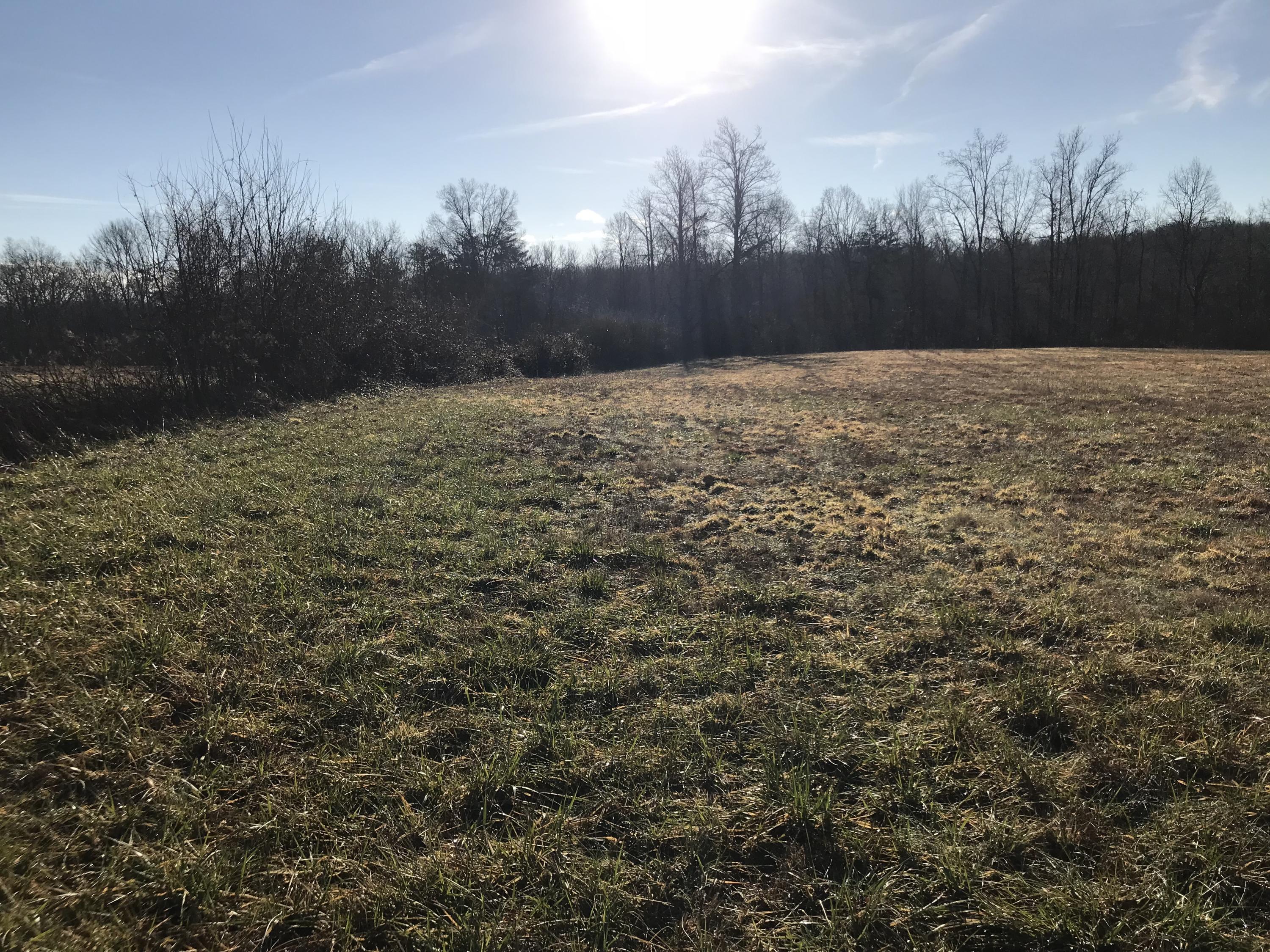 Bicknell Rd Road Clarkrange, TN 38553 - Photo 3 of 5 4RPHq40OTW2PWoIjAAvpRQ