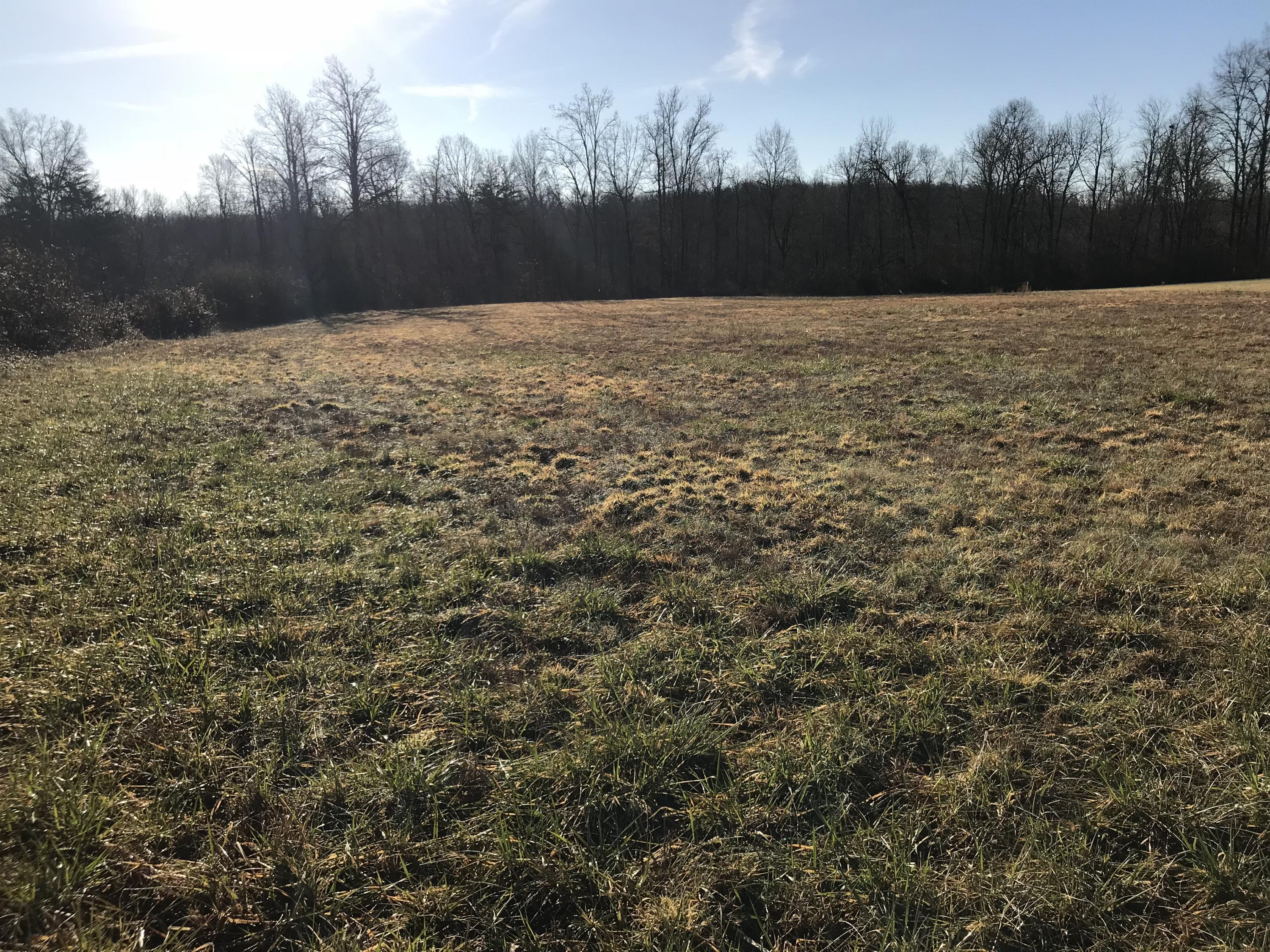 Bicknell Rd Road Clarkrange, TN 38553 - Photo 4 of 5 U97WecHsTtas93nHYxb6GA