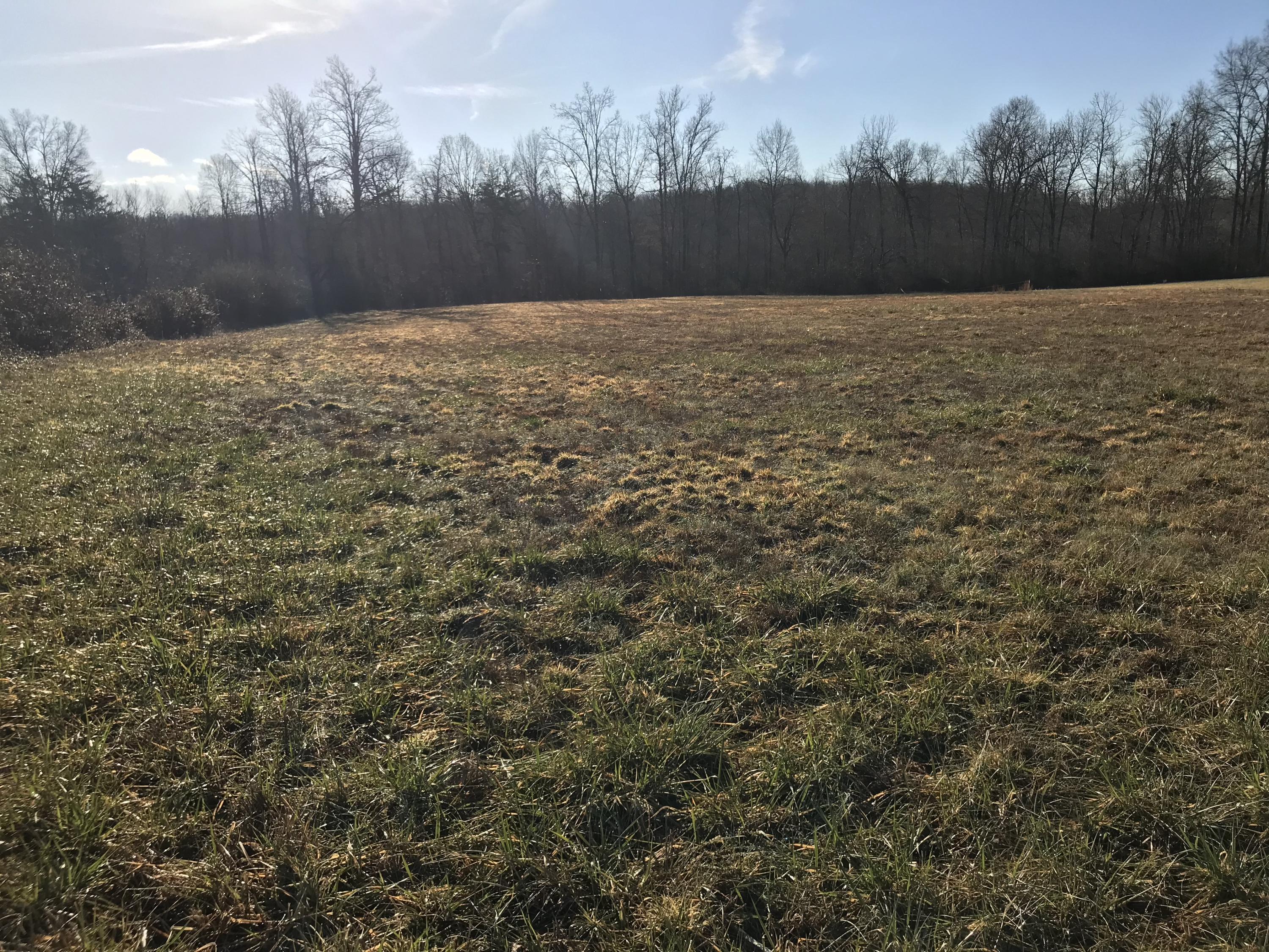 Bicknell Rd Road Clarkrange, TN 38553 - Photo 5 of 5 lTquicbLTdeEEPaoKHpsNg