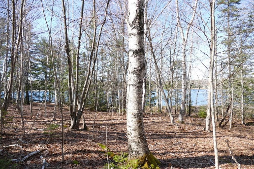 0 Foxfields Farm Road Bar Harbor, ME 04609 - Photo 14 of 18 Photo