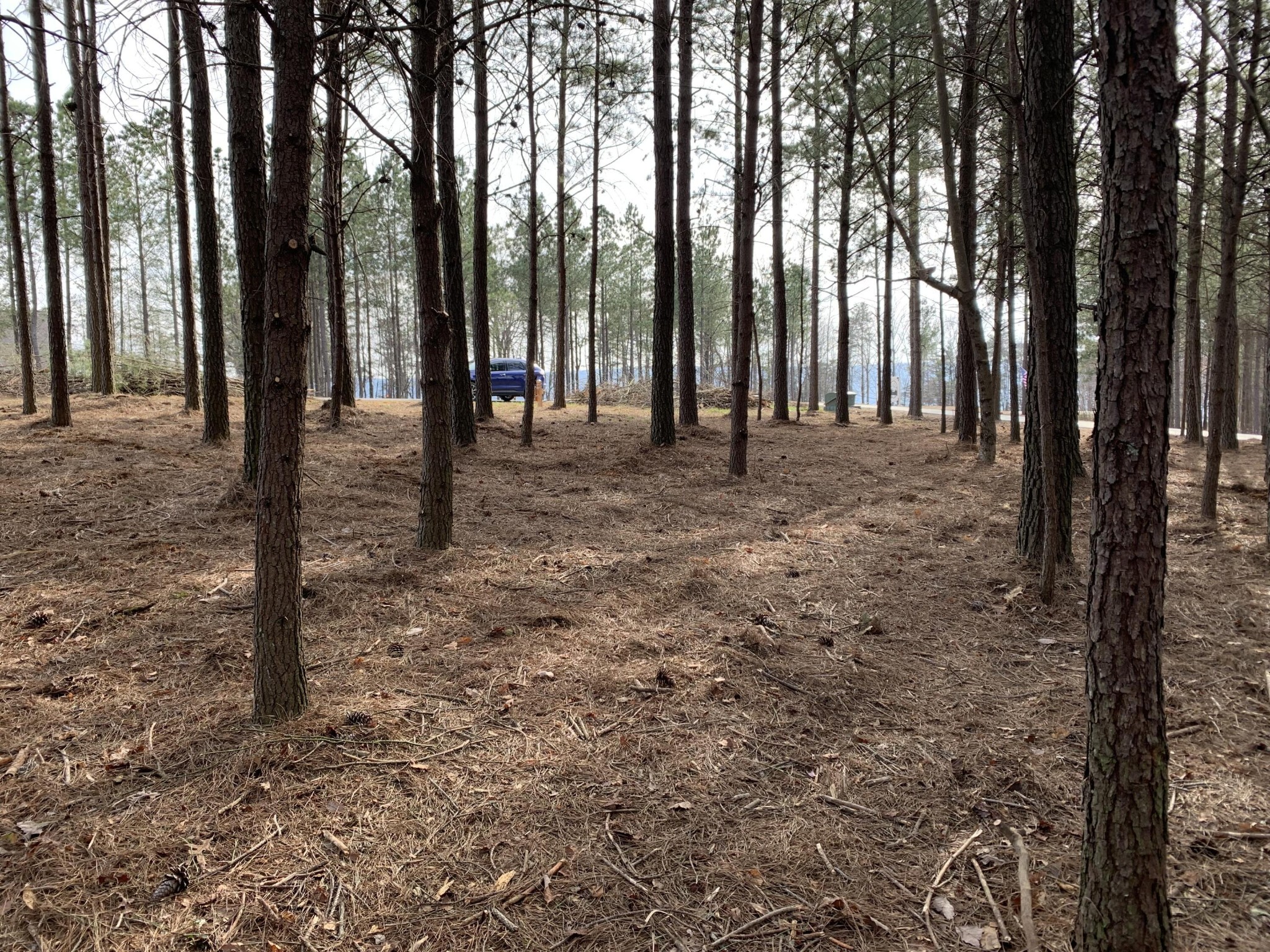 5140 Crockett Pointe Jasper, TN 37347 - Photo 11 of 26 a view of outdoor space with trees