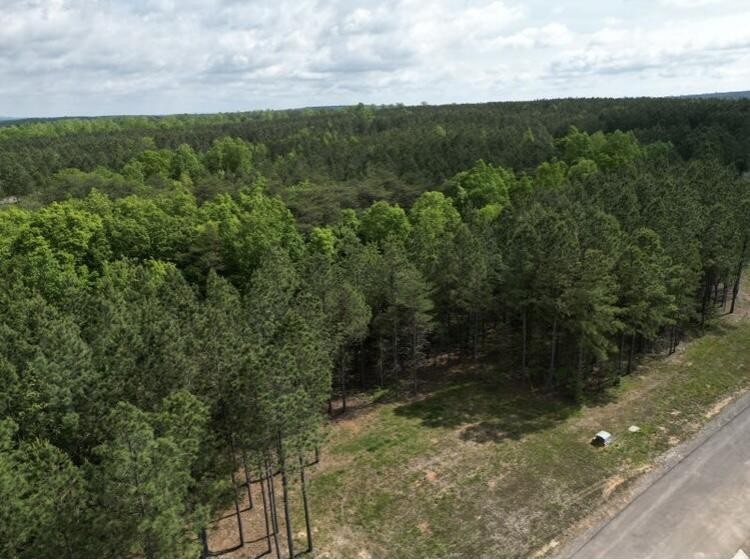 5140 Crockett Pointe Jasper, TN 37347 - Photo 13 of 26 a view of a yard