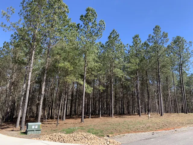 a view of outdoor space with trees