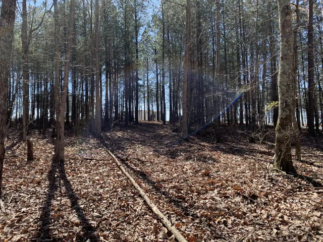 a view of backyard with green space