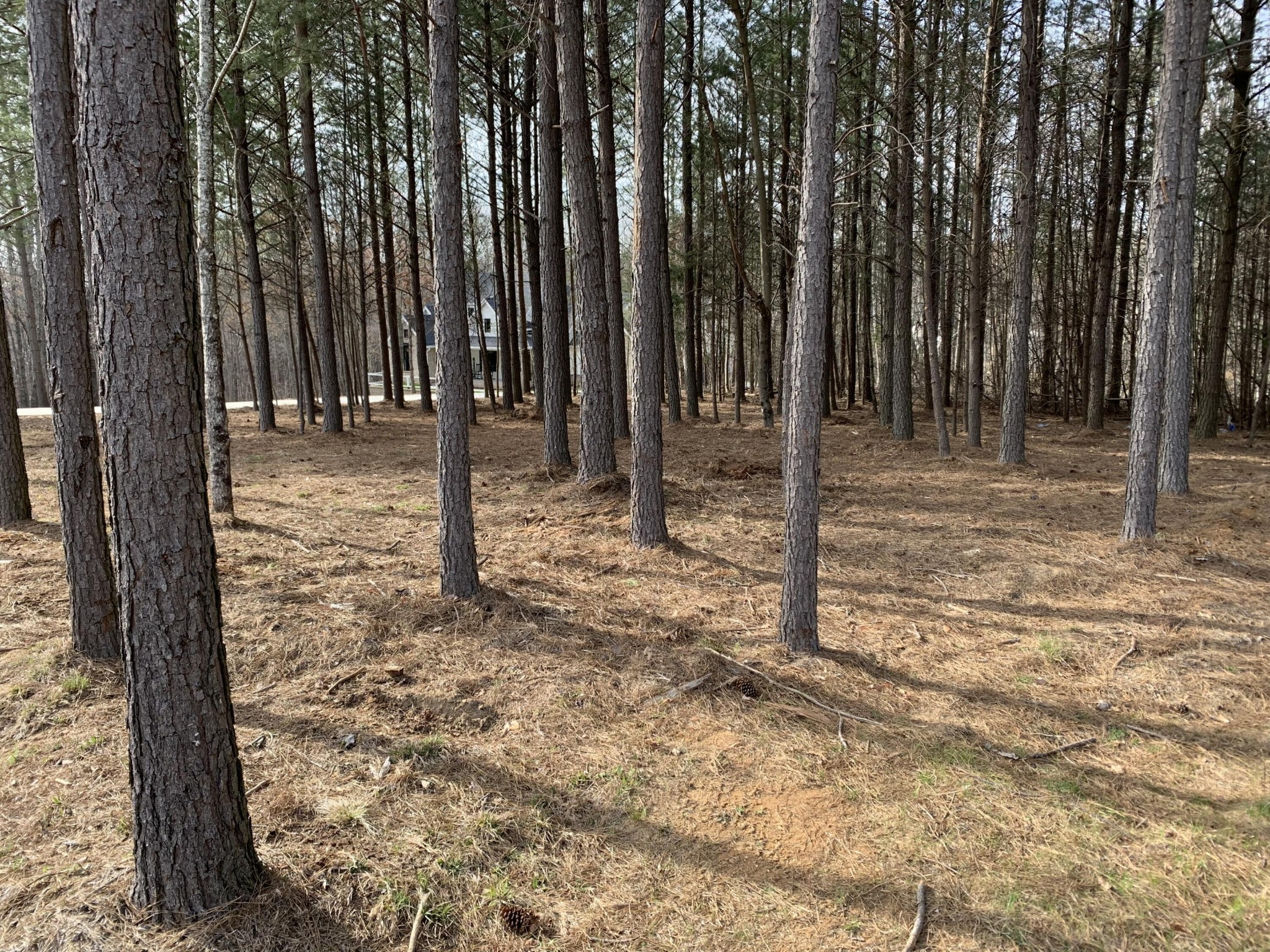 5140 Crockett Pointe Jasper, TN 37347 - Photo 10 of 26 a view of a backyard with trees