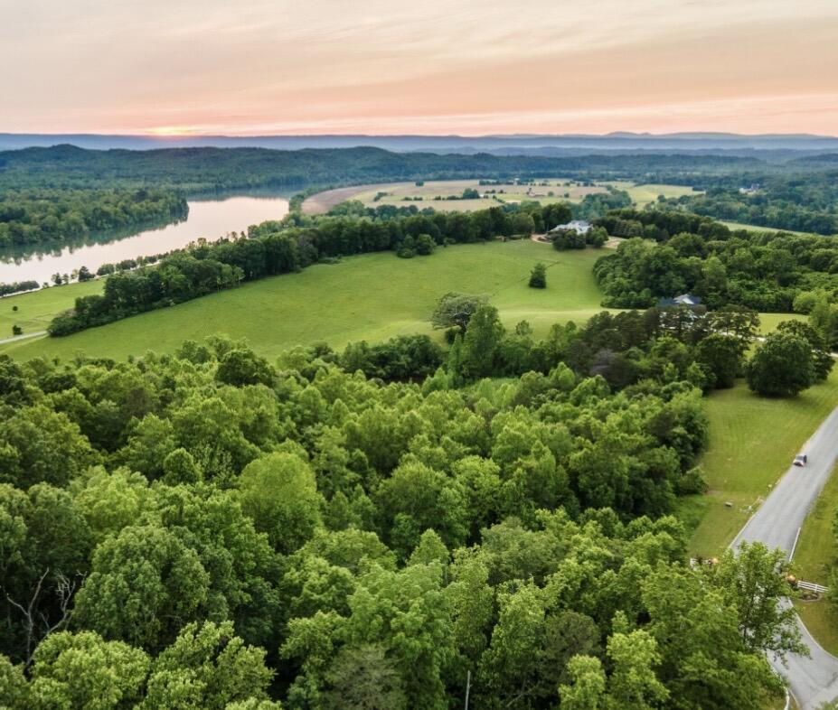 20 Espalier Drive, Unit LOT 20 Decatur, TN 37322 - Photo 5 of 7 ESPALIER BAY