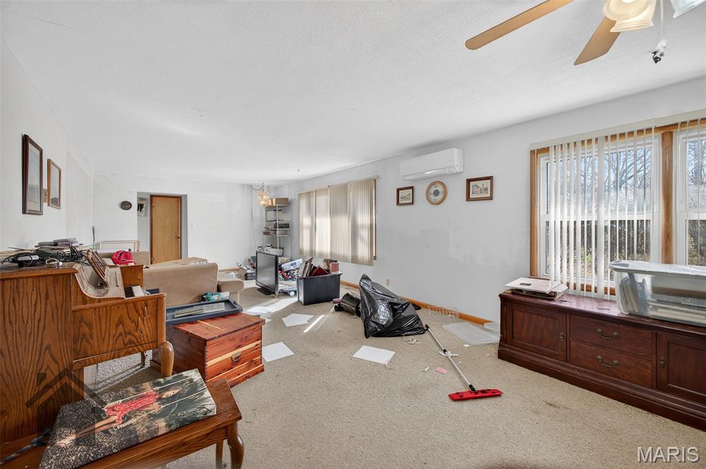 803 Paris Road Waynesville, MO 65583 - Photo 7 of 50