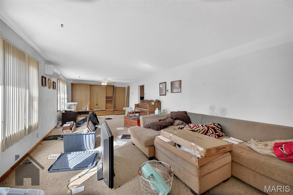 803 Paris Road Waynesville, MO 65583 - Photo 8 of 50