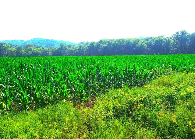 $430,000 | E2044 770th Avenue, Knapp, WI 54749