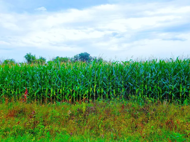 $430,000 | E2044 770th Avenue, Knapp, WI 54749