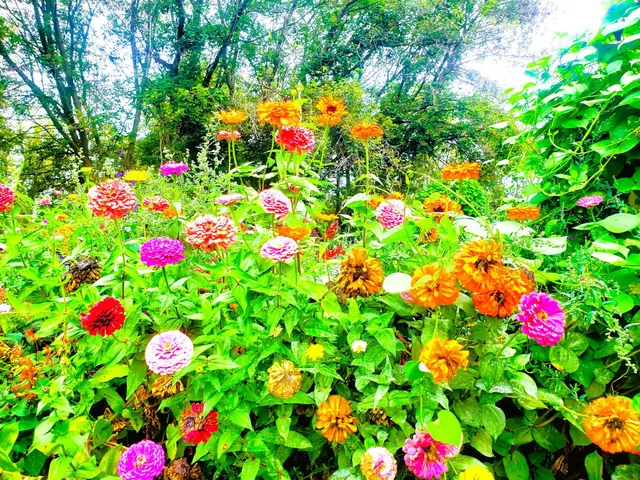 $430,000 | E2044 770th Avenue, Knapp, WI 54749