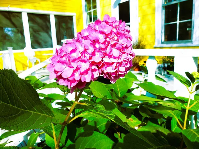 $430,000 | E2044 770th Avenue, Knapp, WI 54749