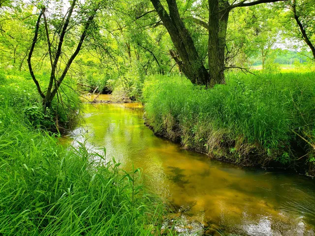 $430,000 | E2044 770th Avenue, Knapp, WI 54749