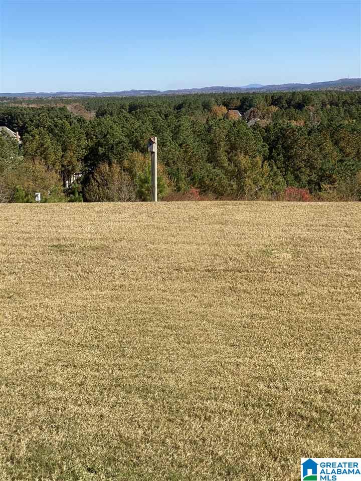 3116 Chelsea Park Ridge Chelsea, AL 35043 - Photo 24 of 25