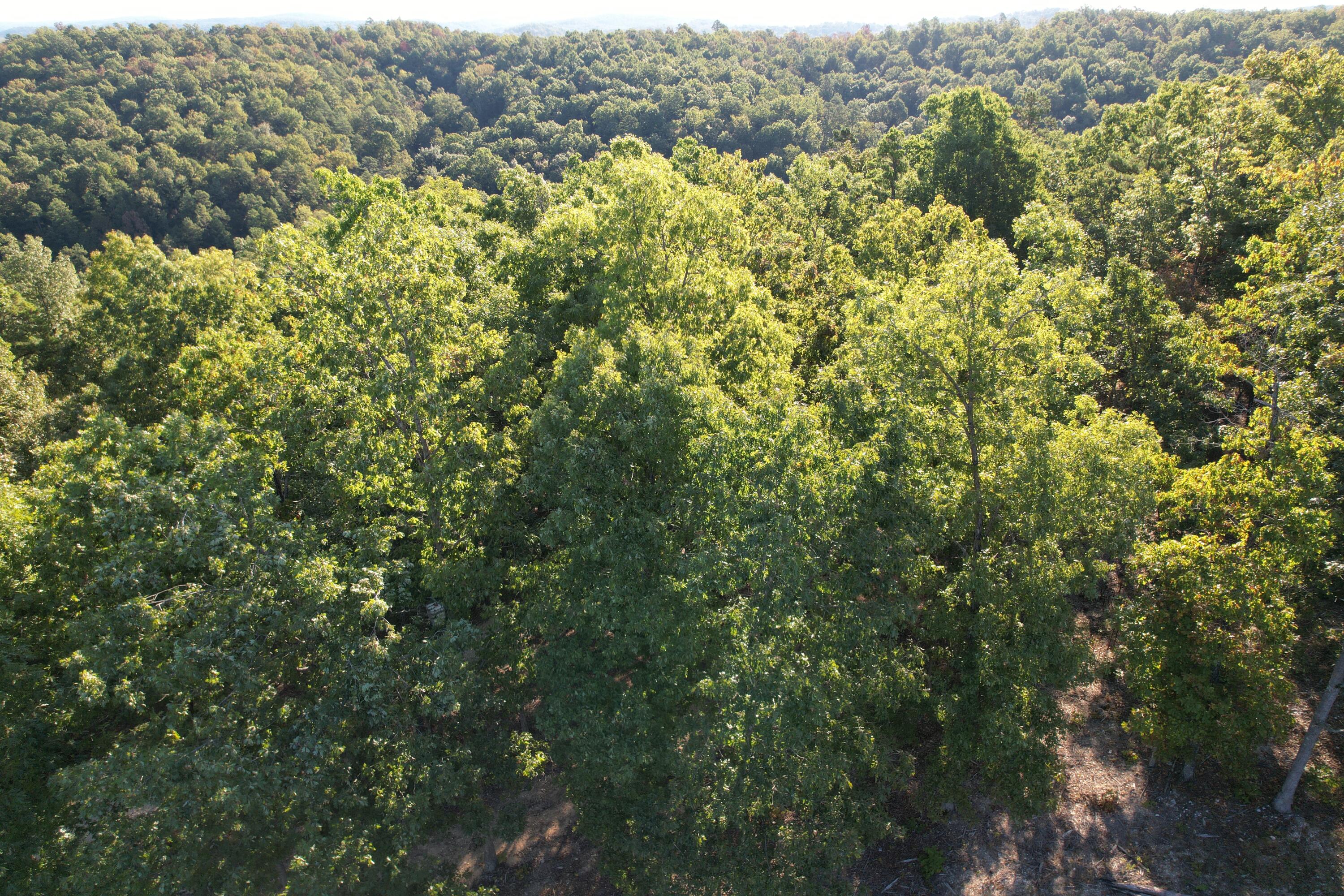 18698 Center Road Eminence, MO 65466 - Photo 11 of 25 DJI_0996