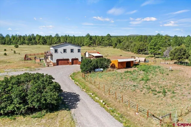 aerial view of a house with a garden and trees