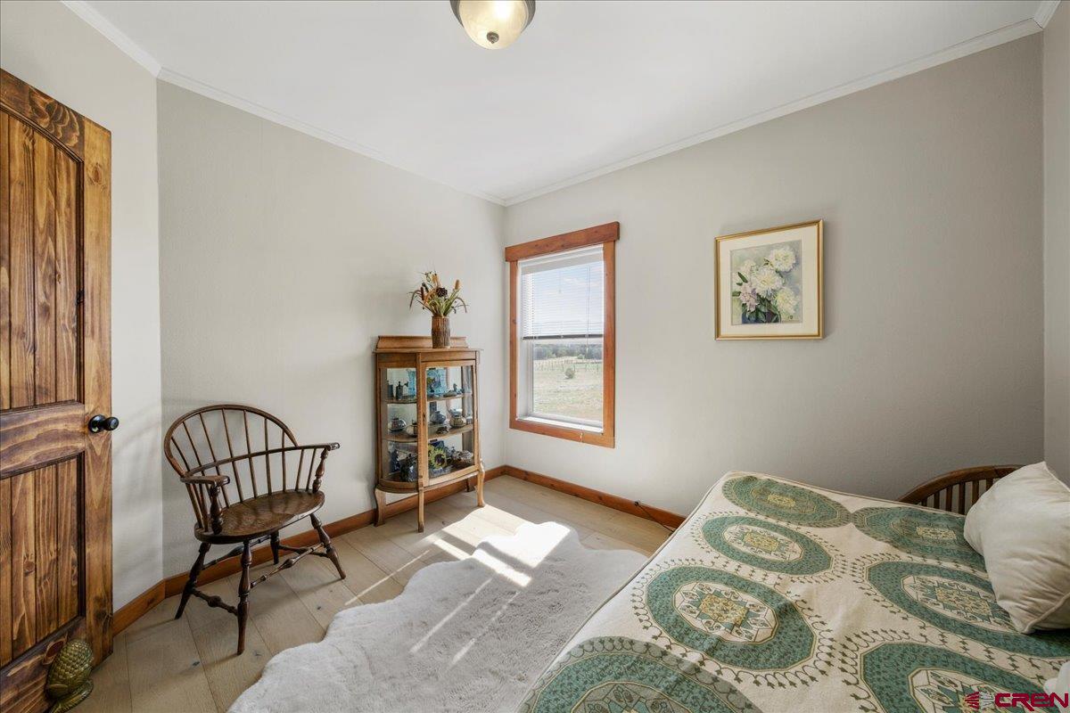 234 Thistle Drive Montrose, CO 81403 - Photo 30 of 39 a bedroom with a bed window and a potted plant