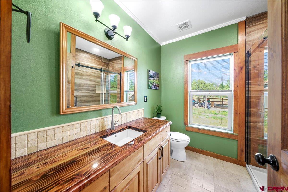 234 Thistle Drive Montrose, CO 81403 - Photo 3 of 39 a bathroom with a sink a toilet and a bathtub