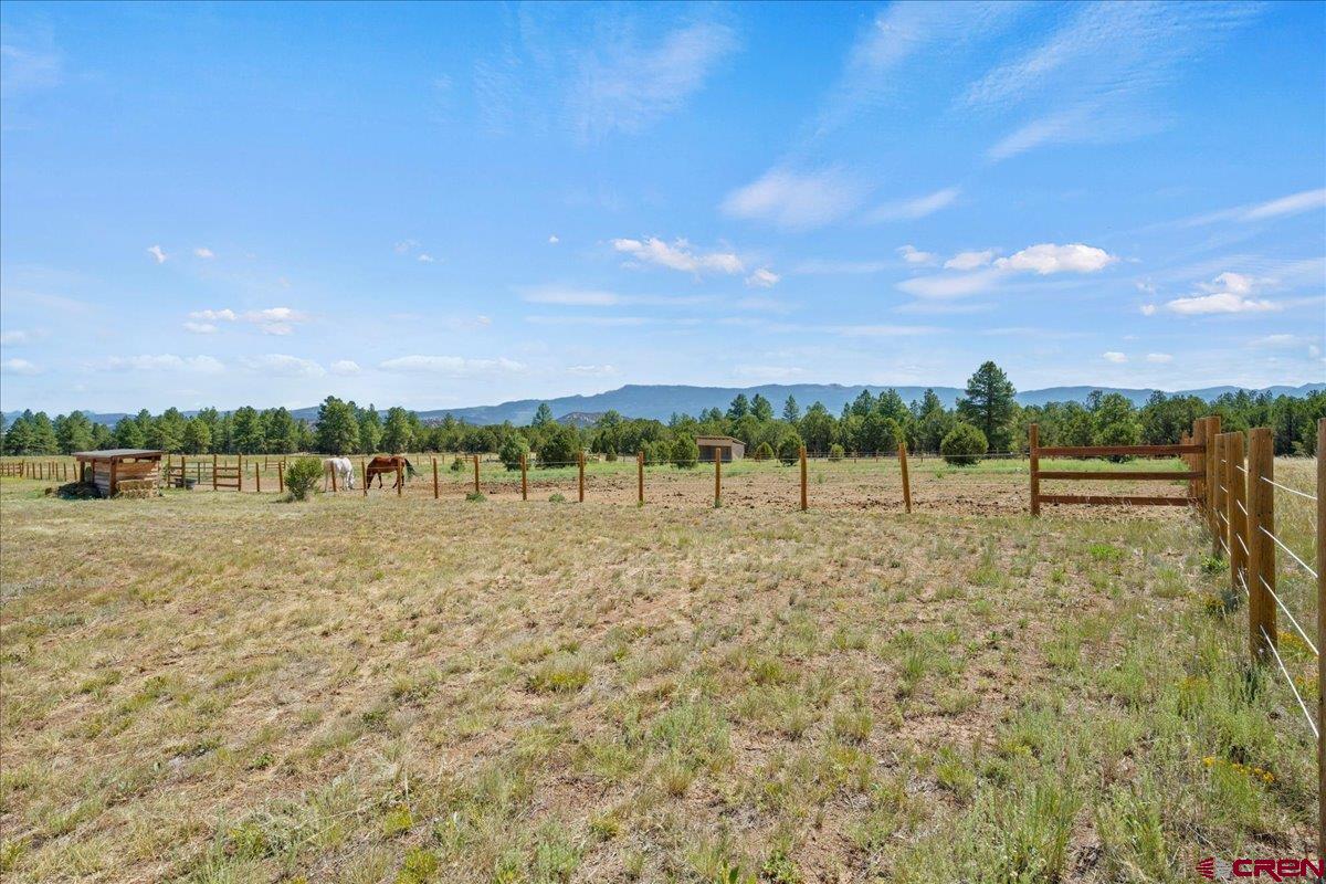 234 Thistle Drive Montrose, CO 81403 - Photo 5 of 39 a view of a lake with houses