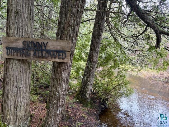 991 Ward Lake Road Lutsen, MN 55612 - Photo 9 of 34