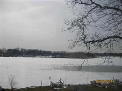 6369 Morgan Road Osseo, MI 49266 - Photo 11 of 12 Additional Photo