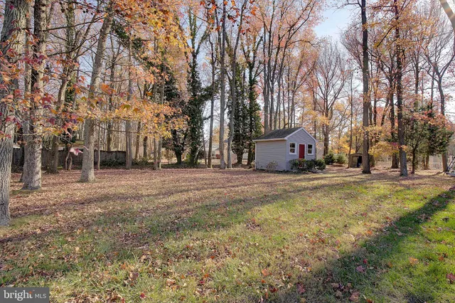 a view of road with large trees
