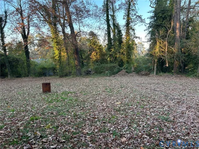 a view of a plants and trees