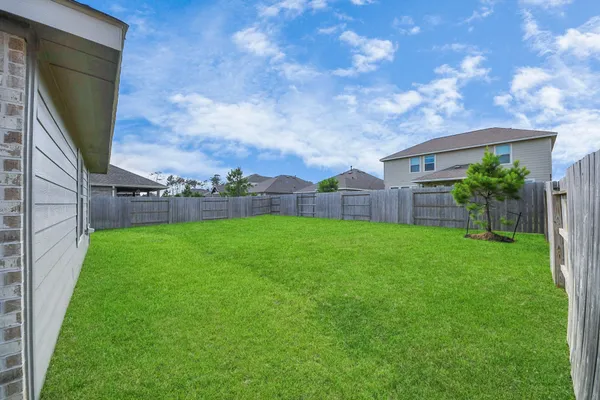 a view of yard with palm trees