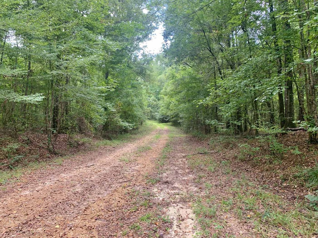 0 Garden City Road Roxie, MS 39661 - Photo 5 of 45 Photo 5